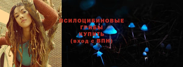 метадон Арсеньев